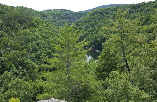 Retiro de visión clara: cabañas en el bosque cerca de Obed, Catoosa, Crossville y más