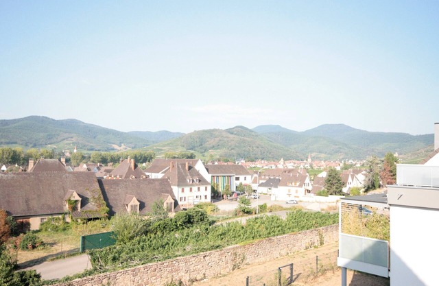 Clos des Clarisses ***, Apart. 2 to 4 people. in Kaysersberg Vignoble - 1 bedroom, terrace, parking