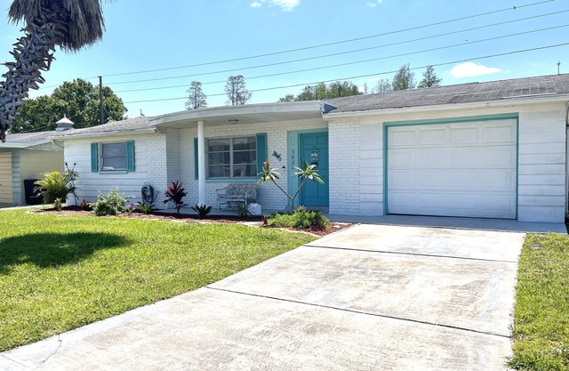 Close 2 beach-Leaning Palm Tree" 55 4KRoku-Floridian colors-King-Queen-2 single
