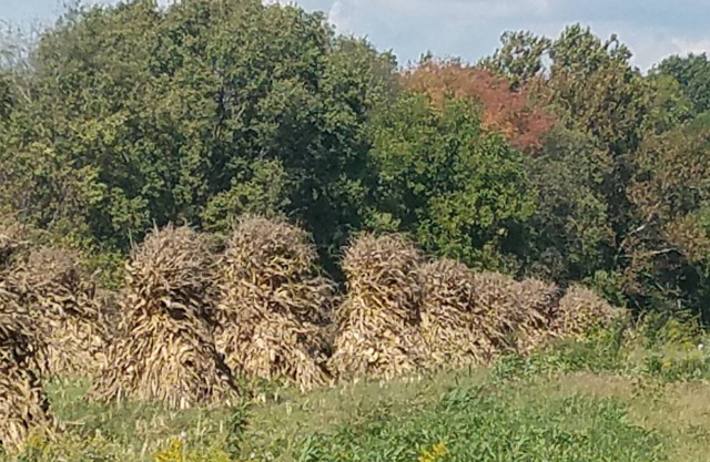 Come stay at our farm!