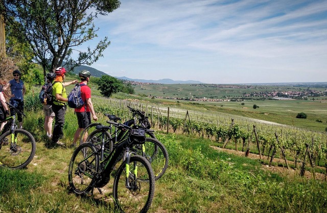 Close to "villages classés préférés" on the Alsace wine route, in a peaceful setting