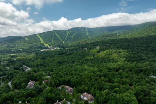 Club Sugarbush #8 condo