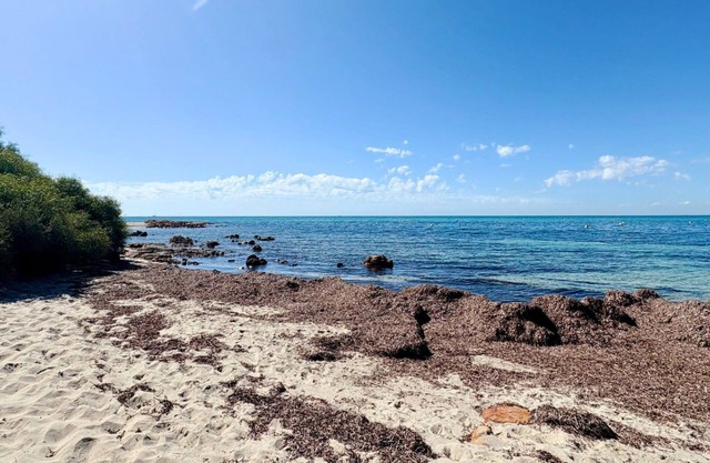 Coastal Haven on Ostia - Geographe