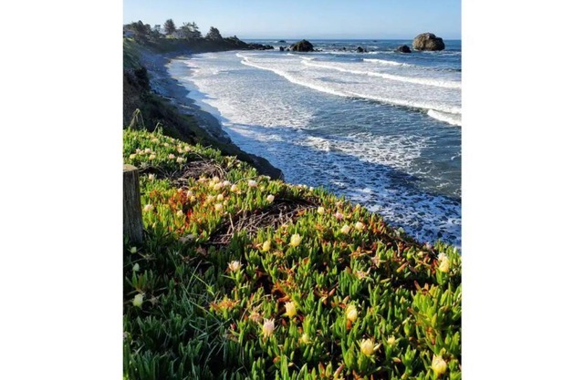 Coastal Living