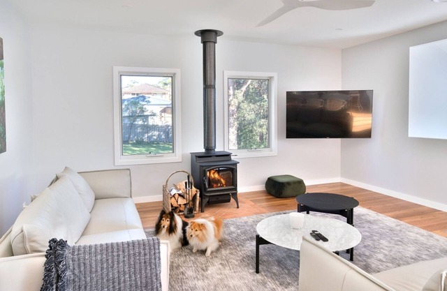 Free night on us this winter at Coastal, Pet-Friendly Luxe
