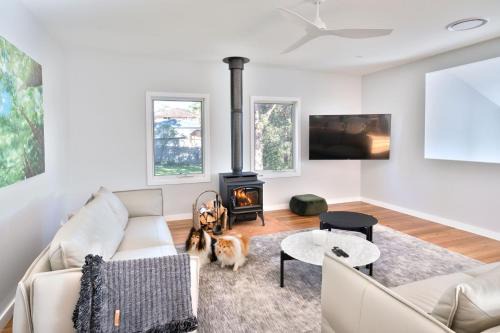 Coastal, Pet-Friendly Luxe
