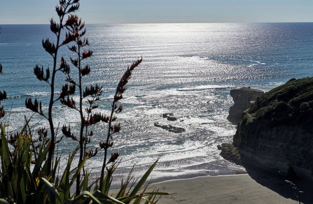 Coastal Retreat at Muriwai Beach