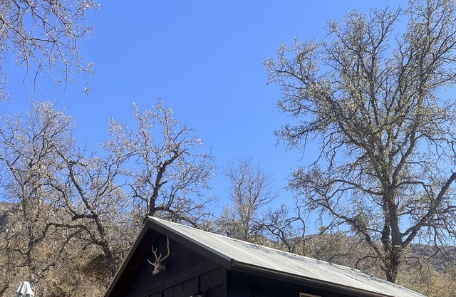 Cobalt Canyon Off Grid Glamping Oasis