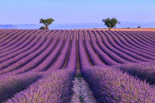 Cocon Authentique de Roussillon