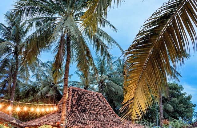 Coconut Garden Resort