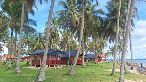 Coconut Paradise