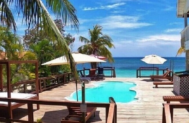 Coconut Tree West Bay