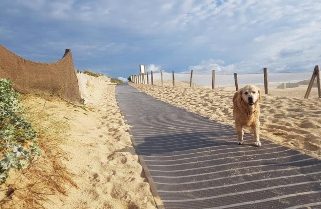 Cocooning et plages