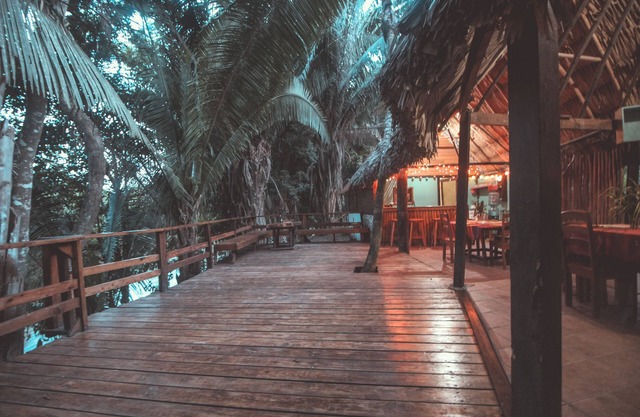 Cohune Palms River Cabanas