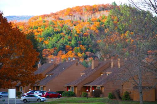 Cold Spring Plymouth Resort