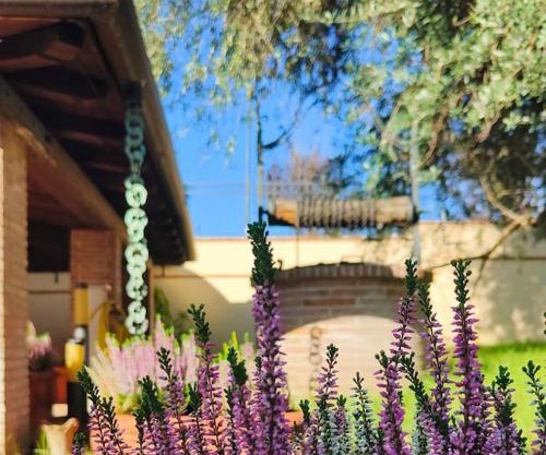 Colibrì - Villa di Charme