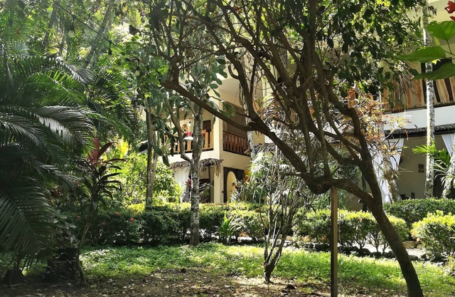 Colibri Surf House & Flats