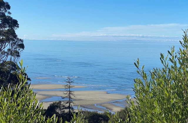 Collingwood Birdsong Cottage - a private forest-garden retreat