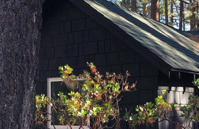 Colorado Lodge