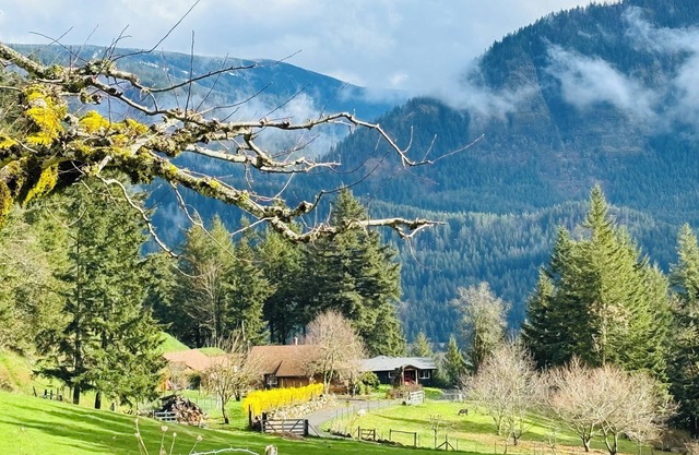 Columbia Gorge Farmstead with River Views