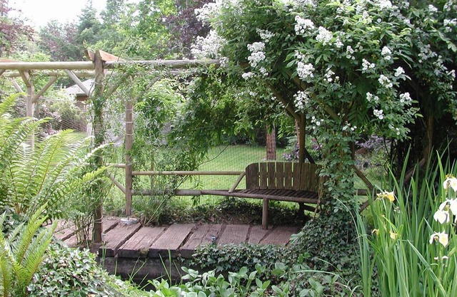 Ven y disfruta de la dulce soledad, Sylvan de la isla de Quadra.