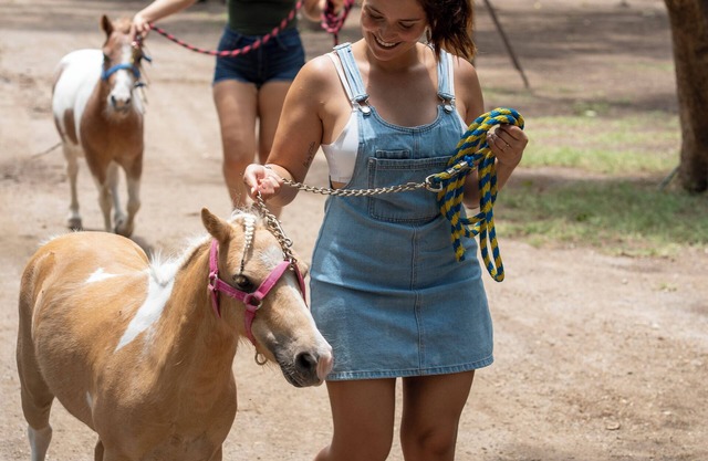 Ven a disfrutar, conectar contigo en compañía de la naturaleza, Ven a vivir!