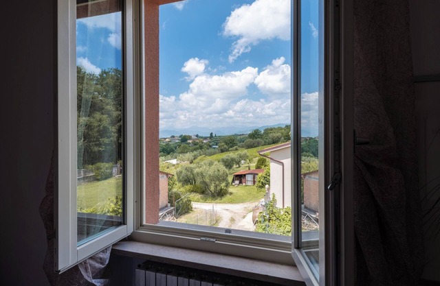 Comfortable apartment in a tuscan wine farm
