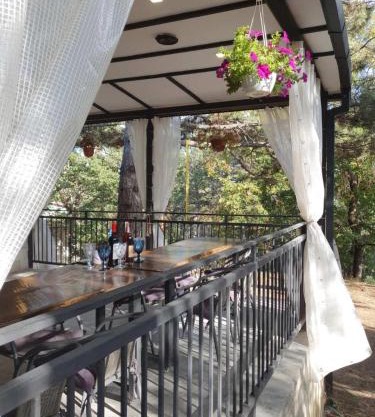 Comfortable House in Kojori