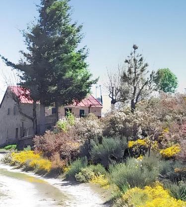 Comfortable house in Cortes do Meio with garden