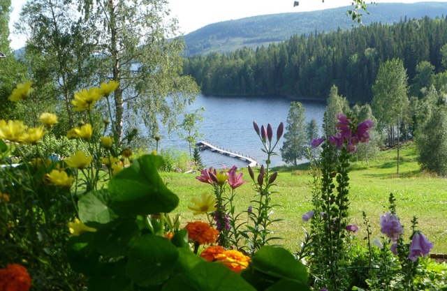 Comfortable lakeview vacation in Ångermanland