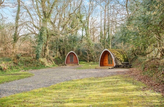 Alojamiento de 2 habitaciones en Ruthernbridge, Nr Bodmin