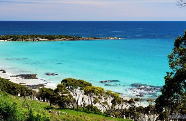 Comfortable & Quiet Apartment 3 mins drive from the "Spirit of Tasmania" ferry.