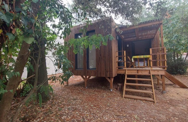 Comfortable wooden bungalow among the trees