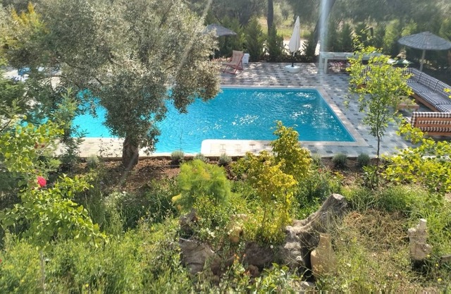 Comfy Apart Surrounded by Nature in Selcuk