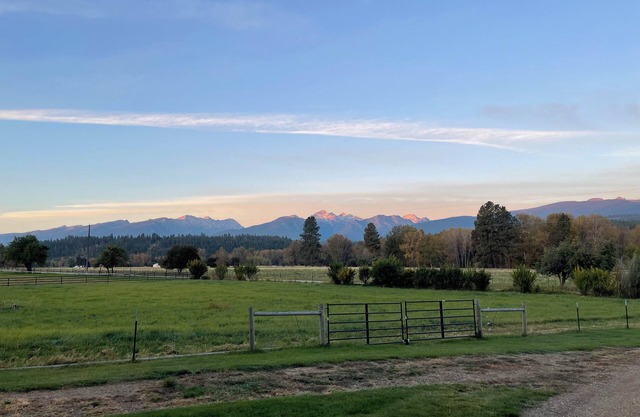 Como View Cabin - 2 bedroom cabin, epic views, close to fishing access, sleeps 4