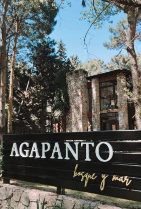 Complejo Agapanto
