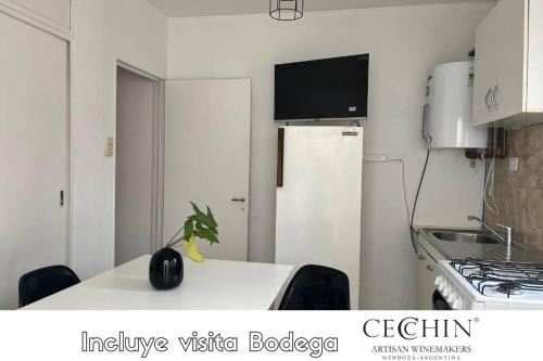 Complejo Wine Maipu: Piscina, Parrilla, Bicis