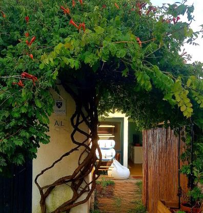 Conde Surf Camp - junto ao mar - entire pvt house
