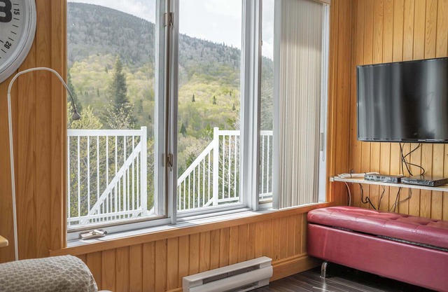 Condo Thibault 117 – Condo at the foot of the Massif du Sud