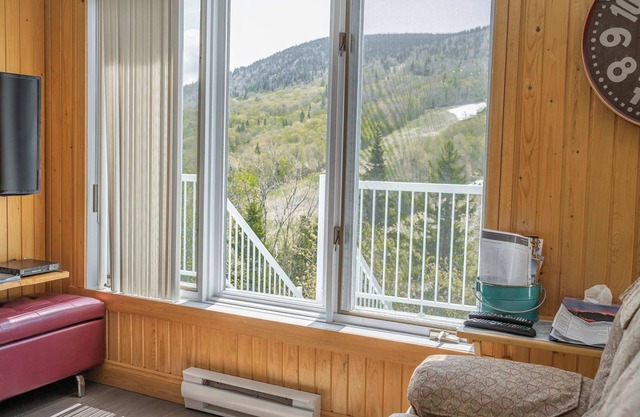 Condo Thibault 117 A – Condo at the foot of the Massif du Sud