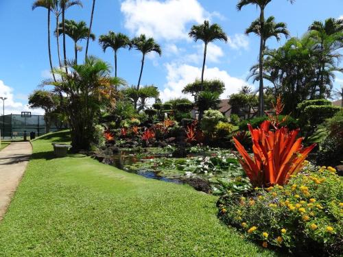 Condos in Kapaa
