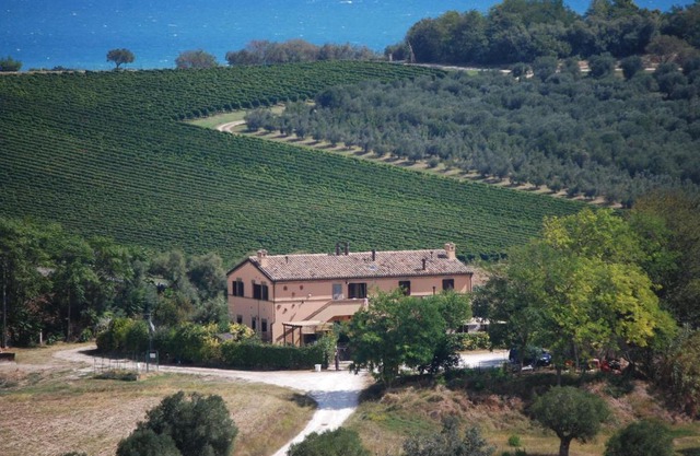 Conero mare campagna il Casale Le Maschere appartamenti