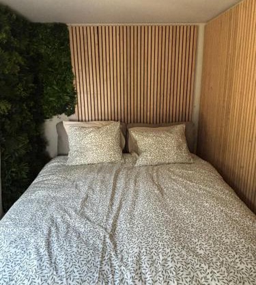 Containers aménagé au cœur des chants des grenouilles