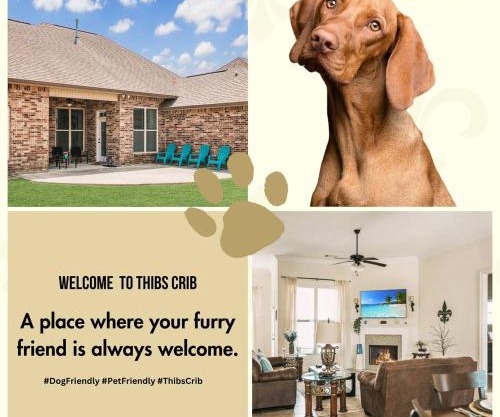 Contractor-readypets Ok 2 Kings Fast Wifi