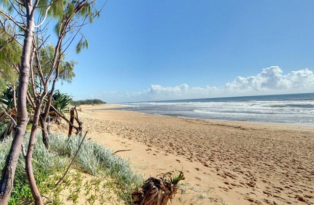 Coolum Street 41, Dicky Beach