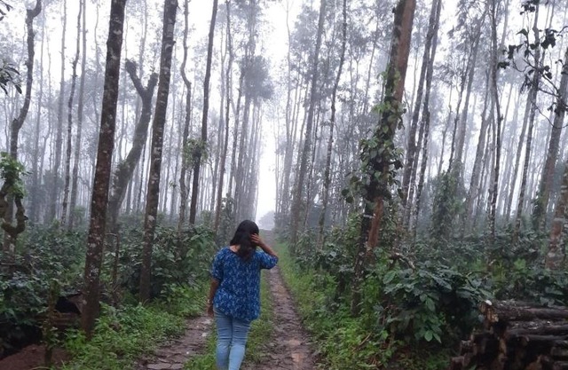 Coorg Happy Estate Stay