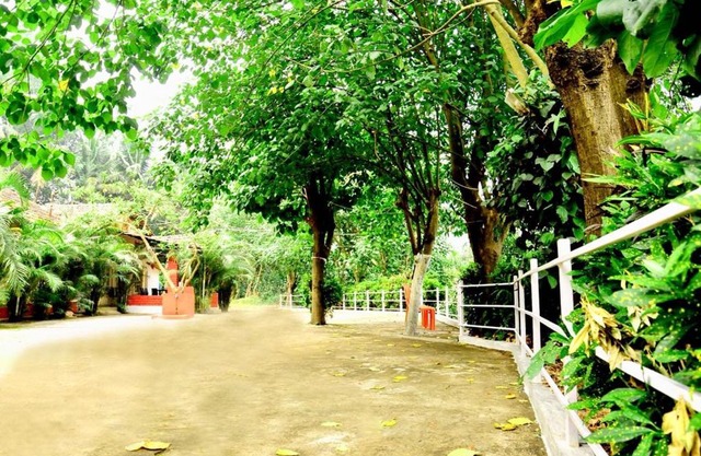 COORG HOTEL AND COTTAGE