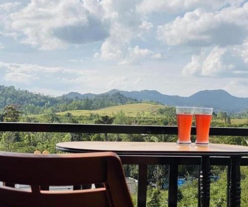 coorg mist greens