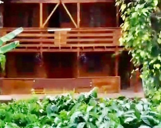 Coorg Northbreeze Wooden Stay