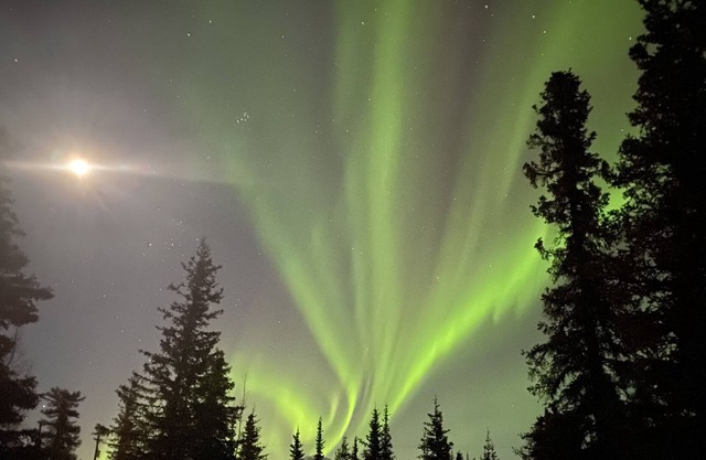 * Invierno y verano * Alquiler de estudio estilo Alaska cerca del parque Denali Lavadora / secadora